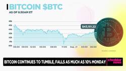 Crypto Markets Volatility Likely to Continue Through Foreseeable Future News Clip