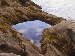 Método científico: evaluación en video Instructional Video