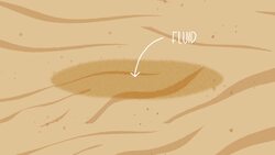 High Five Facts - Quick Sand Instructional Video