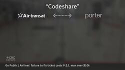 Missing letters in his name cost man $10K trip after airlines fail to fix ticket | Go Public News Clip