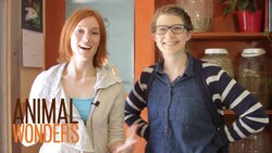 Dead or Alive? A visit from Emily Graslie Instructional Video