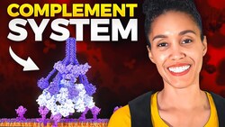The Complement System Song: How The Complement System Works Instructional Video