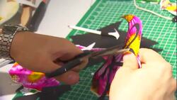 'Pieces I can talk about:' Jose Bautista on Daniel Mazzone's art News Clip