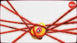 TED-Ed: Mao Zedong's infamous mango cult | Vivian Jiang Instructional Video