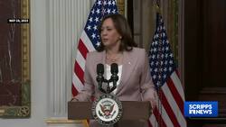 Here’s why the viral Kamala Harris 'coconut tree' meme works for winning on the internet News Clip