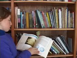 Your Science Fair Project: Summing Up Instructional Video