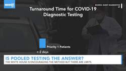White House is Encouraging Pooled Testing But Will it Work? News Clip
