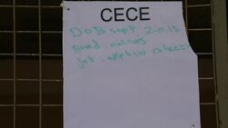 Private company trains dogs for special forces Instructional Video