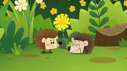 Hedgie Hide and Seek Instructional Video