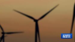 Going green could be a good option for job seekers of all education levels News Clip