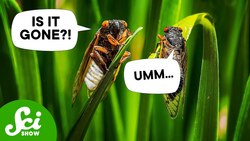 Help, I’ve Lost My Butt! Instructional Video