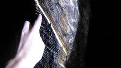 Where does Rubber come from? Instructional Video