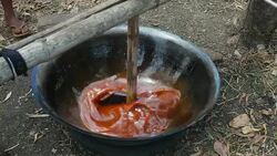 Making sugar palm. The kind of churn made from wood is used to stir the palm sugar that helps it cool down rapidly and to thicken. Stock Footage