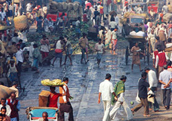 Urban Settlements Instructional Video