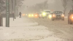 Winnipeggers lament return of winter News Clip