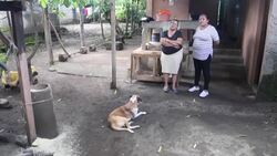 CLEAN : Rafaela and Yolanda: two opposing views of Ortega's Nicaragua News Clip