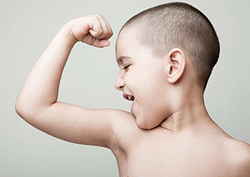 Muscles Instructional Video