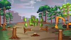 I WONDER - What Is Deforestation? Instructional Video