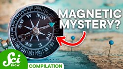 What Do Magnetic Fields Actually Do? | SciShow Compilation Instructional Video