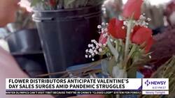 The Backstory Behind Your Valentine's Day Flowers News Clip