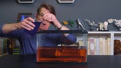 Is Earth's Most Important Ocean Current Doomed? Instructional Video