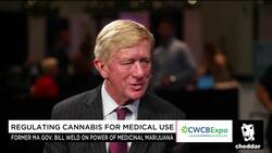 Ex-Gov. Weld Says Research Key to Pot Legalization News Clip