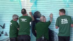 Love or hate it? People react to Banksy's artwork at London Zoo News Clip