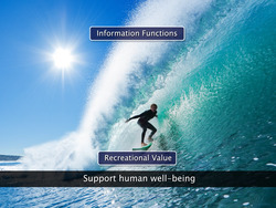 Ecosystem-Structure and Function Instructional Video