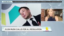 Is Elon Musk a Qualified Source for A.I.? News Clip