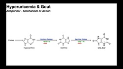 Allopurinol Mechanism of Action for Gout Instructional Video