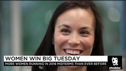 Dems' Platform for Midterms? 'Throw the Bums Out' News Clip