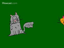 How to Pick the Right Cat Breed for You Instructional Video