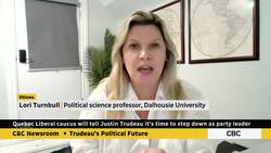 Poilievre in ‘election mode’ with new 'Wackos' video about Liberals: expert News Clip
