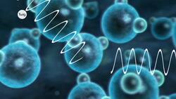 What Makes Up the Electromagnetic Spectrum? Instructional Video