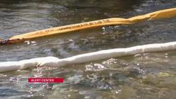 Cleanup efforts continue 2 weeks after Bronx River oil spill News Clip