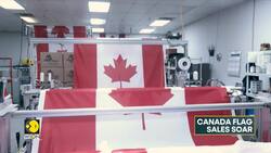 Canadian flag sales soar after Trump threats News Clip