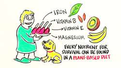 The Top 3 Arguments in Favor of Eating Meat Instructional Video