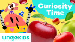 Curiosity Time: Apples Instructional Video