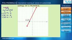 Geometrical Meaning of Zeroes of a Polynomial Instructional Video