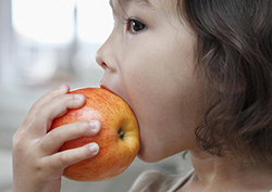 Function of teeth Instructional Video