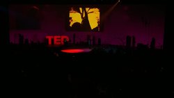 Beau Lotto and Cirque du Soleil: How we experience awe -- and why it matters Instructional Video