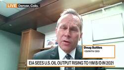 EIA Sees Rising U.S. Oil Output in 2021 News Clip