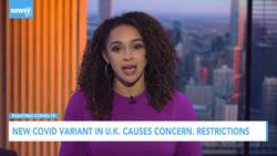 New COVID Variant In U.K. Causes Concerns, Restrictions News Clip