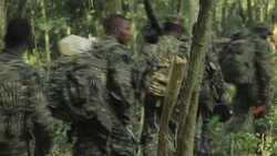 CLEAN : Deep into the forest, DRC-Uganda operations continue against the ADF News Clip