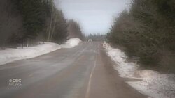 I survived but he killed his next partner News Clip