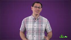 This Binge-drinking Tree Shrew Could Probably Outdrink You Instructional Video