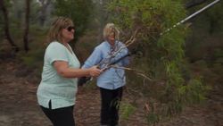 Australia on Fire - Fire Animals Instructional Video