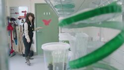 We Forget Sometimes How Important Butterflies Are To Our Planet and This Specific Species Is No Different Instructional Video