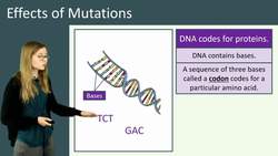 Understanding Mutations and Their Effects on Organisms Instructional Video
