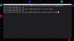 Getting Started with HashiCorp Nomad - Demo - Using the Nomad CLI Instructional Video